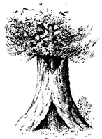 An illustration from Scientific American, Vol. 94, No. 18 (May 1906) (1906)