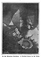Picture 11 of 18 from Scientific American, Vol. 94, No. 22 (June 1906) (1906), leaf 10
