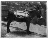An illustration from Scientific American, Vol. 94, No. 22 (June 1906) (1906)