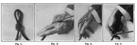 An illustration from Scientific American, Vol. 94, No. 25 (June 1906) (1906)