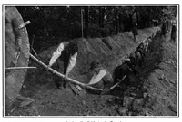 An illustration from Scientific American, Vol. 94, No. 26 (June 1906) (1906)