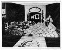 Picture 9 of 25 from Scientific American, Vol. 94, No. 26 (June 1906) (1906), leaf 4