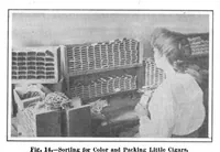 Picture 16 of 27 from Scientific American, Vol. 95, No. 1 (July 1906) (1906), leaf 10