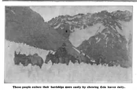 Picture 22 of 27 from Scientific American, Vol. 95, No. 1 (July 1906) (1906), leaf 13