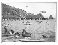 An illustration from Scientific American, Vol. 95, No. 1 (July 1906) (1906)