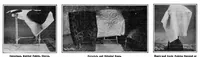 Picture 1 of 19 from Scientific American, Vol. 95, No. 6 (August 1906) (1906), leaf 3