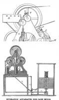 Picture 10 of 18 from Scientific American, Vol. 95, No. 7 (August 1906) (1906), leaf 9