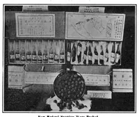 Picture 9 of 25 from Scientific American, Vol. 95, No. 8 (August 1906) (1906), leaf 7