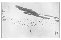 An illustration from Scientific American, Vol. 95, No. 12 (September 1906) (1906)