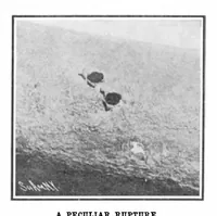 An illustration from Scientific American, Vol. 95, No. 12 (September 1906) (1906)