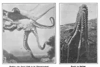 An illustration from Scientific American, Vol. 95, No. 16 (October 1906) (1906)