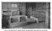 Picture 2 of 17 from Scientific American, Vol. 95, No. 16 (October 1906) (1906), leaf 3