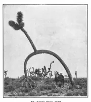An illustration from Scientific American, Vol. 95, No. 17 (October 1906) (1906)