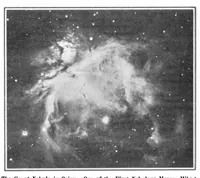 An illustration from Scientific American, Vol. 95, No. 18 (November 1906) (1906)
