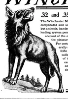 Picture 15 of 18 from Scientific American, Vol. 95, No. 20 (November 1906) (1906), leaf 17