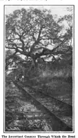 Picture 4 of 18 from Scientific American, Vol. 95, No. 20 (November 1906) (1906), leaf 4