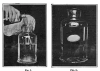 An illustration from Scientific American, Vol. 95, No. 21 (November 1906) (1906)