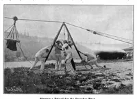 Picture 13 of 23 from Scientific American, Vol. 95, No. 26 (December 1906) (1906), leaf 8