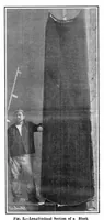 Picture 2 of 18 from Scientific American, Vol. 96, No. 1 (January 1907) (1907), leaf 5