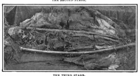 An illustration from Scientific American, Vol. 96, No. 13 (March 1907) (1907)