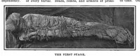 An illustration from Scientific American, Vol. 96, No. 13 (March 1907) (1907)