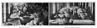 Picture 6 of 25 from Scientific American, Vol. 96, No. 16 (April 1907) (1907), leaf 4