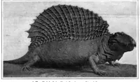 An illustration from Scientific American, Vol. 96, No. 18 (May 1907) (1907)