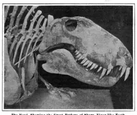 An illustration from Scientific American, Vol. 96, No. 18 (May 1907) (1907)