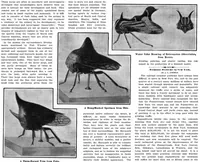 Picture 2 of 18 from Scientific American, Vol. 96, No. 21 (May 1907) (1907), leaf 3