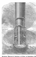 Picture 22 of 27 from Scientific American, Vol. 96, No. 22 (June 1907) (1907), leaf 11