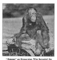 Picture 16 of 24 from Scientific American, Vol. 96, No. 25 (June 1907) (1907), leaf 10