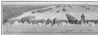 Picture 2 of 25 from Scientific American, Vol. 96, No. 26 (June 1907) (1907), leaf 0