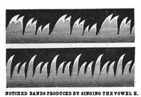 Picture 4 of 26 from Scientific American, Vol. 97, No. 1 (July 1907) (1907), leaf 4