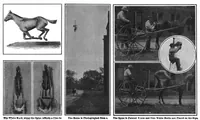 Picture 1 of 11 from Scientific American, Vol. 97, No. 7 (August 1907) (1907), leaf 3