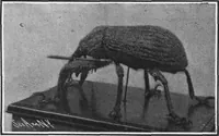 An illustration from Scientific American, Vol. 97, No. 8 (August 1907) (1907)
