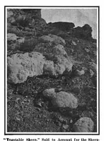 Picture 6 of 11 from Scientific American, Vol. 97, No. 9 (August 1907) (1907), leaf 9