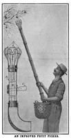 Picture 11 of 15 from Scientific American, Vol. 97, No. 13 (September 1907) (1907), leaf 10