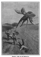 Picture 8 of 15 from Scientific American, Vol. 97, No. 13 (September 1907) (1907), leaf 8