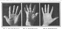 An illustration from Scientific American, Vol. 97, No. 26 (December 1907) (1907)