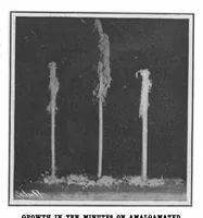 Picture 6 of 21 from Scientific American, Vol. 98, No. 2 (January 1908) (1908), leaf 6