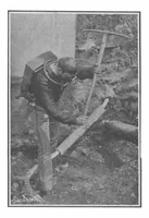 Picture 13 of 21 from Scientific American, Vol. 98, No. 2 (January 1908) (1908), leaf 9