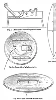 Picture 17 of 30 from Scientific American, Vol. 98, No. 13 (March 1908) (1908), leaf 9