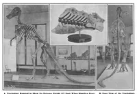 An illustration from Scientific American, Vol. 98, No. 15 (April 1908) (1908)