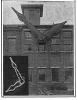 Picture 18 of 24 from Scientific American, Vol. 98, No. 21 (May 1908) (1908), leaf 10