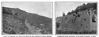 Picture 9 of 24 from Scientific American, Vol. 98, No. 21 (May 1908) (1908), leaf 7