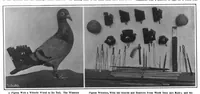 Picture 12 of 23 from Scientific American, Vol. 98, No. 22 (May 1908) (1908), leaf 9