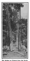 Picture 3 of 16 from Scientific American, Vol. 99, No. 9 (August 1908) (1908), leaf 3