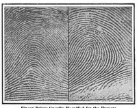 An illustration from Scientific American, Vol. 99, No. 11 (September 1908) (1908)