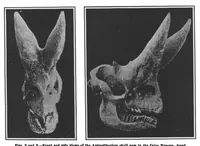 Picture 8 of 18 from Scientific American, Vol. 99, No. 16 (October 1908) (1908), leaf 8