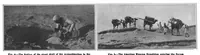 Picture 9 of 18 from Scientific American, Vol. 99, No. 16 (October 1908) (1908), leaf 8